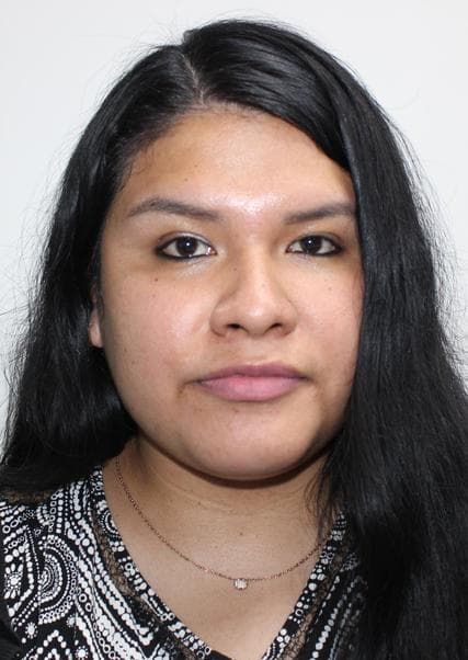 Nicho Condorhuaman Ana Elizabeth