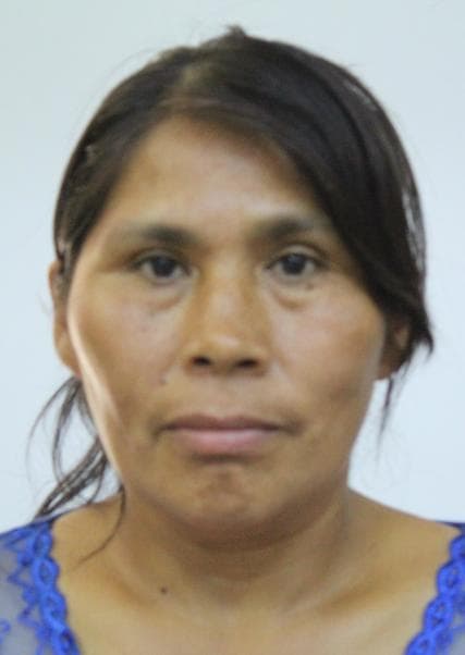 Quenaya Ordoño Rogelia Sara