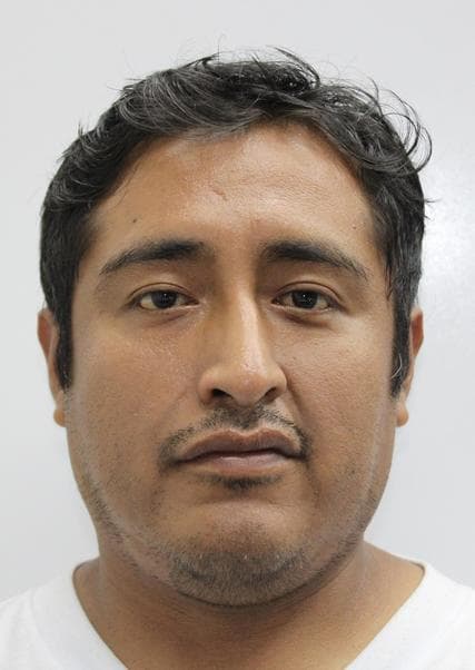 Mamani Flores Salomon