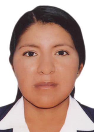 Mamani Meneses Karina