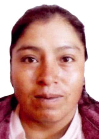 Paulino Hermosilla Fidencia