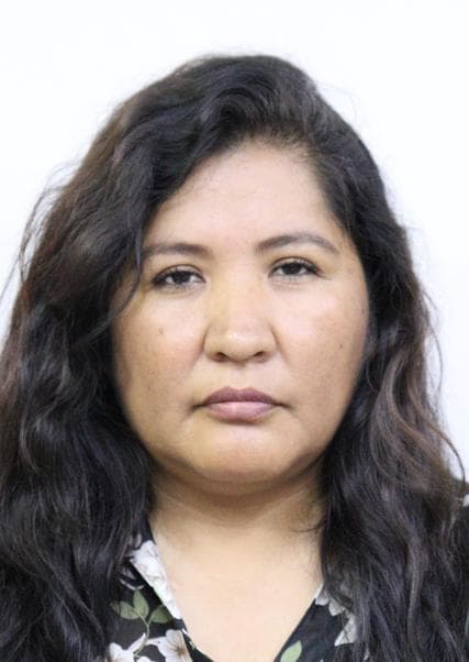 Mendoza Vilca Denisse Lizbeth